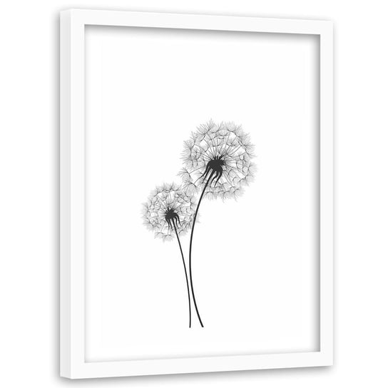 Obraz w ramie białej FEEBY, Dmuchawiec Kwiat Natura 40x60 Feeby