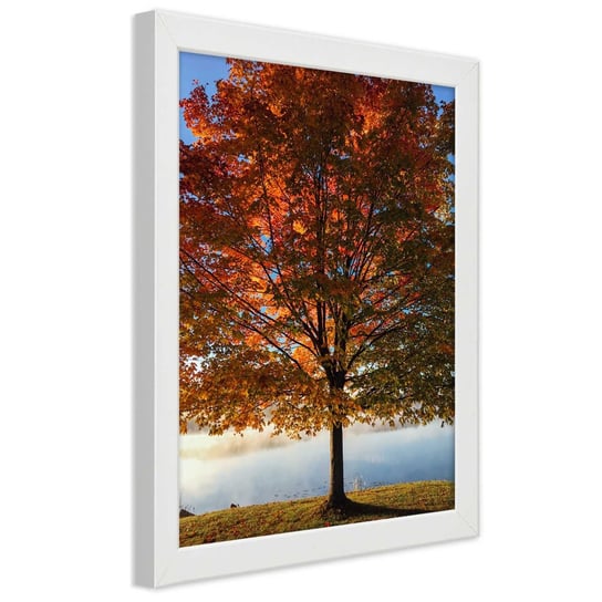 Obraz w ramie białej FEEBY, Drzewo Jesień Liście 30x45 Feeby
