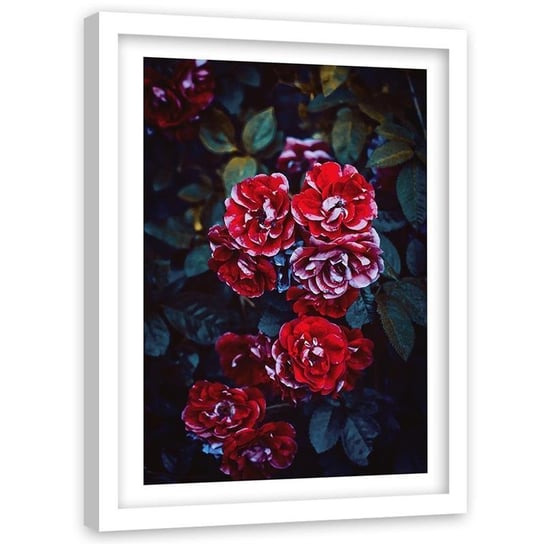 Obraz w ramie białej FEEBY, Kwiaty Czerwone Natura 60x90 Feeby