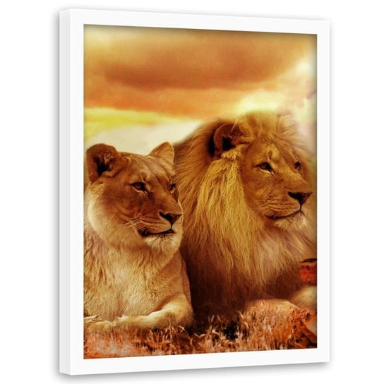 Obraz w ramie białej FEEBY, Lwy Zwierzęta Afryka 60x90 Feeby