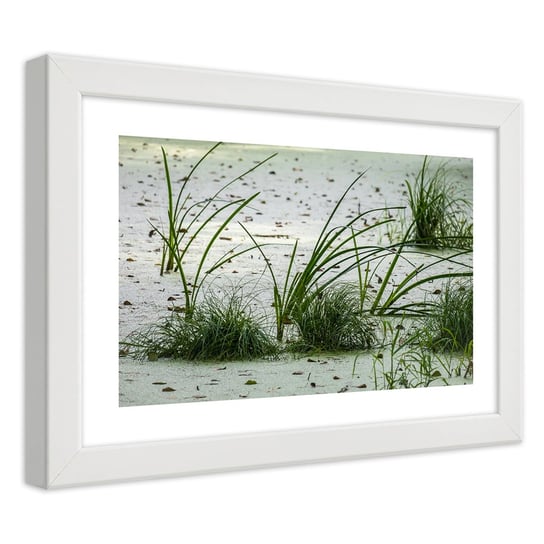Obraz w ramie białej FEEBY, Plaża piasek trawa zielona 30x20 Feeby