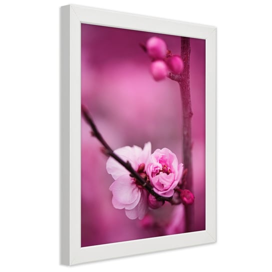 Obraz w ramie białej FEEBY, Różowy Kwiat jabłoni 30x45 Feeby