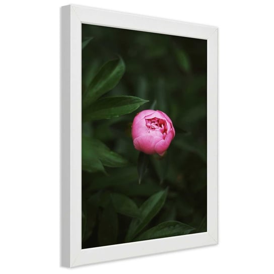 Obraz w ramie białej FEEBY, Różowy Kwiat Pąk Natura 30x45 Feeby