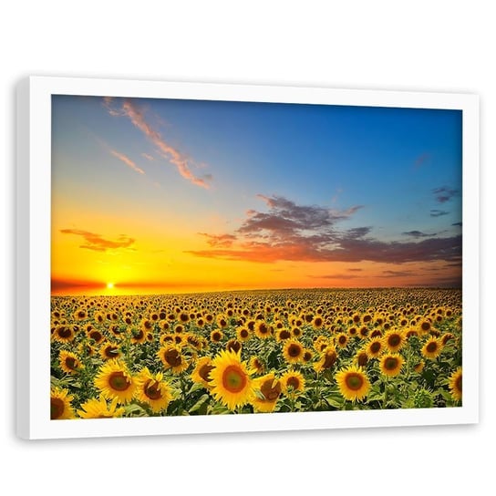 Obraz w ramie białej FEEBY, Słoneczniki Zachód Słońca 60x40 Feeby