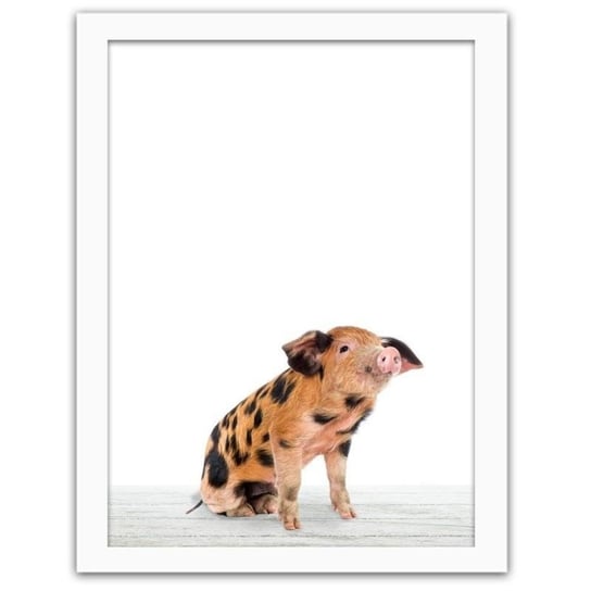 Obraz w ramie białej FEEBY, Świnka w czarne łaty, 40x50 cm Feeby