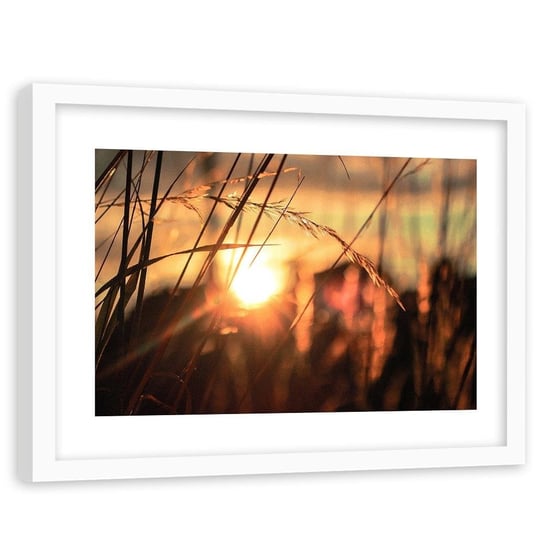 Obraz w ramie białej FEEBY, Trawa Zachód Słońca Natura 60x40 Feeby