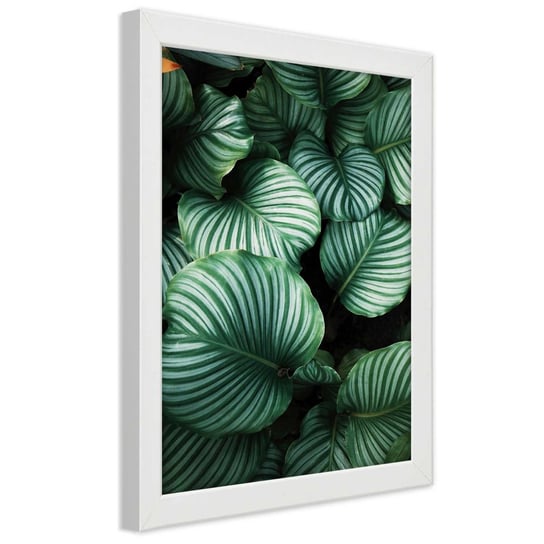Obraz w ramie białej FEEBY, Tropikalne Liście Zielony 30x45 Feeby