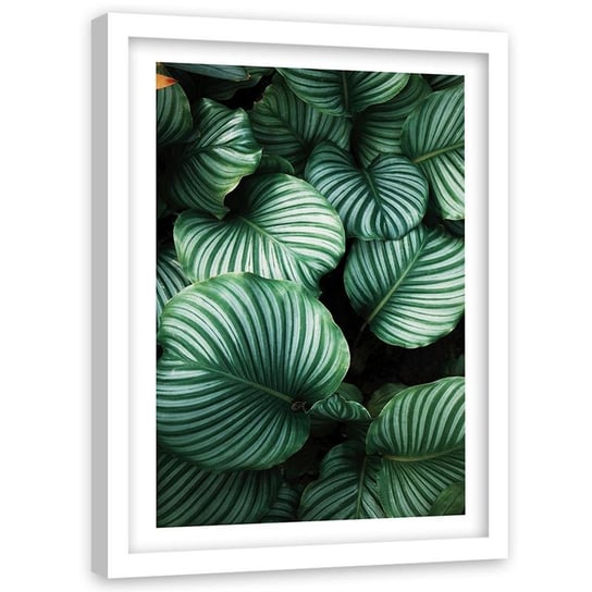 Obraz w ramie białej FEEBY, Tropikalne Liście Zielony 60x80 Feeby