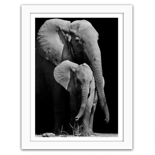 Obraz w ramie białej FEEBY, Wędrówka rodziny słoni, 80x120 cm Feeby