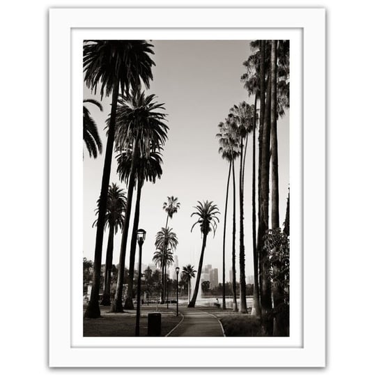 Obraz w ramie białej FEEBY, Widok na park z palmami, 40x50 cm Feeby