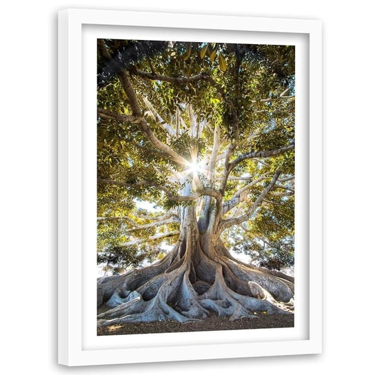 Obraz w ramie białej FEEBY, Wielkie egzotyczne drzewo, 80x120 cm Feeby