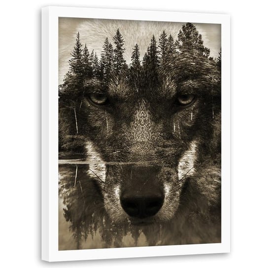 Obraz w ramie białej FEEBY, Wilk Czarny Zwierzęta 40x50 Feeby