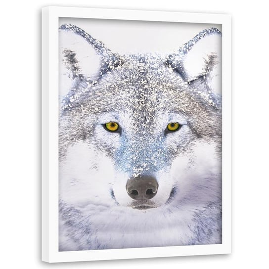 Obraz w ramie białej FEEBY, Wilk Szary Zwierzęta 40x50 Feeby