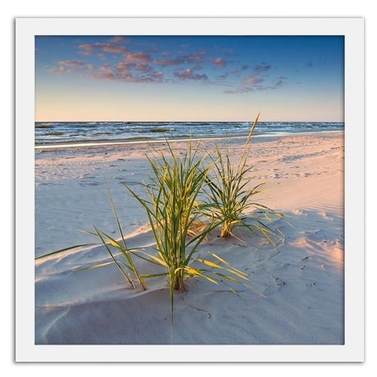 Obraz w ramie białej FEEBY, Zielona trawa na plaży 2, 30x30 cm Feeby