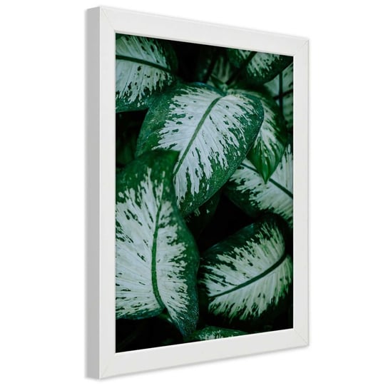 Obraz w ramie białej FEEBY, Zielone Liście Natura Roślina 30x45 Feeby