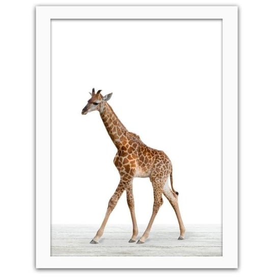 Obraz w ramie białej FEEBY, Żyrafa 2, 60x80 cm Feeby