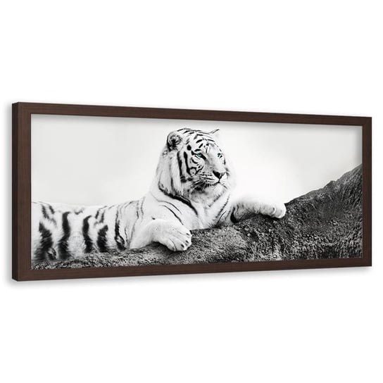 Obraz w ramie brązowej FEEBY, Afryka Tygrys Zwierzęta 140x45 Feeby