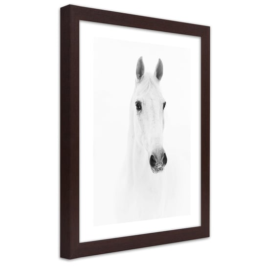 Obraz w ramie brązowej FEEBY, Biały Koń Zwierzęta Natura 20x30 Feeby