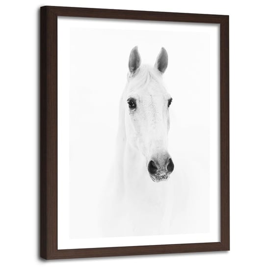 Obraz w ramie brązowej FEEBY, Biały Koń Zwierzęta Natura 80x120 Feeby