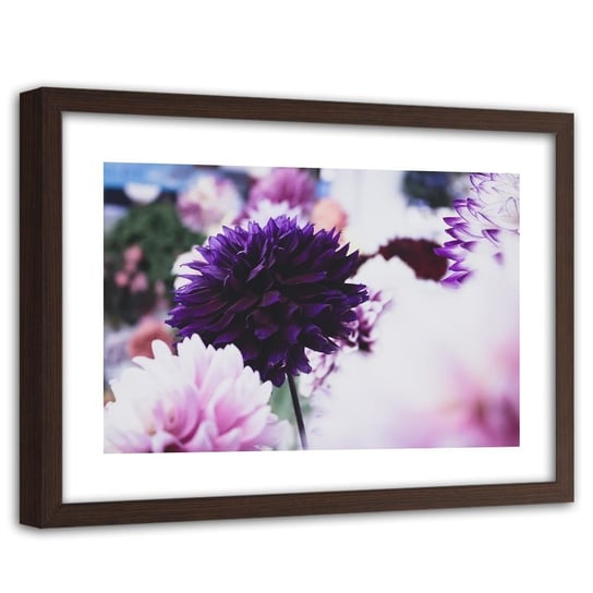 Obraz w ramie brązowej FEEBY, Dalia Kwiat Fioletowy 60x40 Feeby