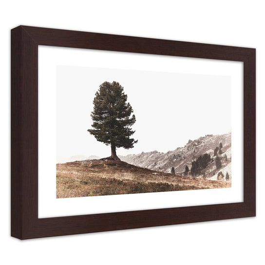 Obraz w ramie brązowej FEEBY, Drzewo Góry Natura 100x70 Feeby