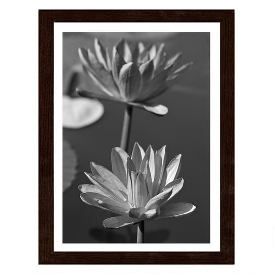 Obraz w ramie brązowej FEEBY Dwie lilie wodne, 70x100 cm Feeby