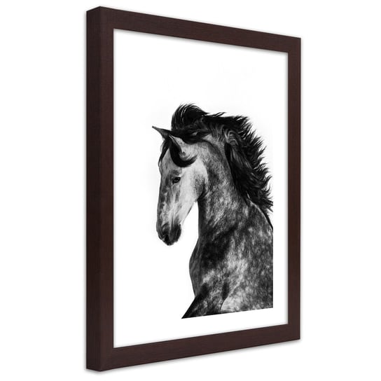 Obraz w ramie brązowej FEEBY, Koń Zwierzęta Galop 70x100 Feeby