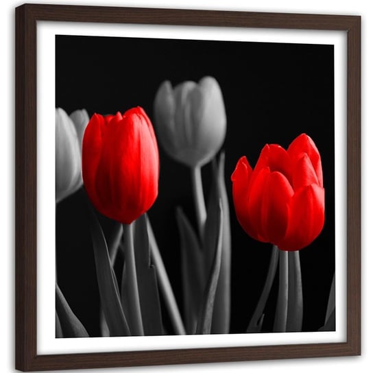 Obraz w ramie brązowej FEEBY, Kwiaty Tulipany Czerwony Szary 60x60 Feeby