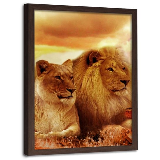 Obraz w ramie brązowej FEEBY, Lwy Zwierzęta Afryka 20x30 Feeby