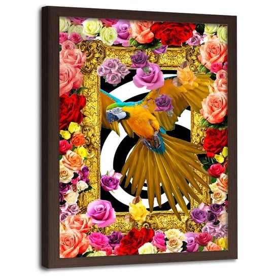 Obraz w ramie brązowej FEEBY, Papuga,kolorowe kwiaty róże 40x50 Feeby