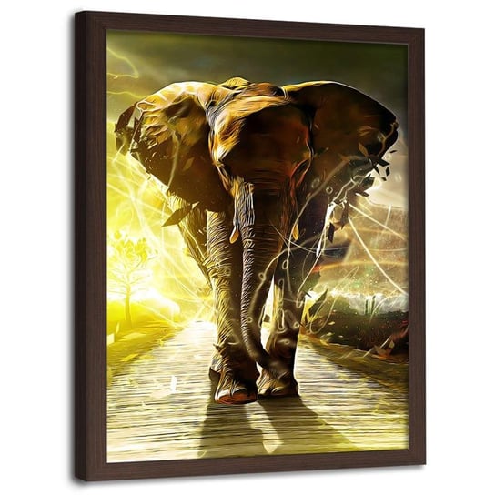 Obraz w ramie brązowej FEEBY, Słoń na Drodze Afryka 30x40 Feeby