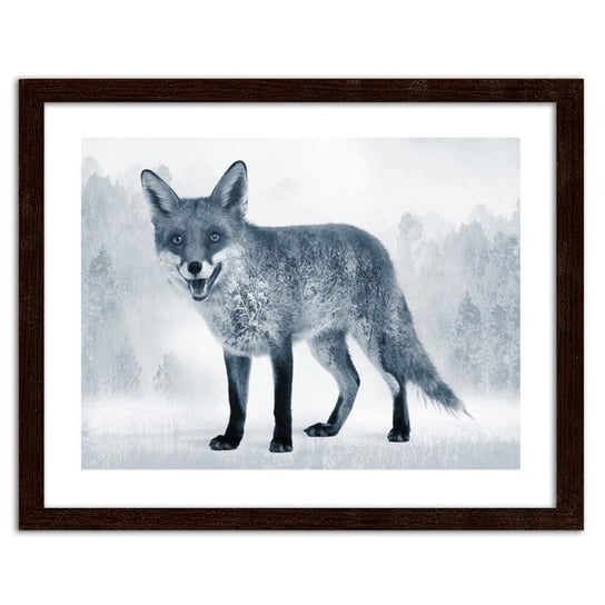 Obraz w ramie brązowej FEEBY, Szary lis, 40x30 cm Feeby