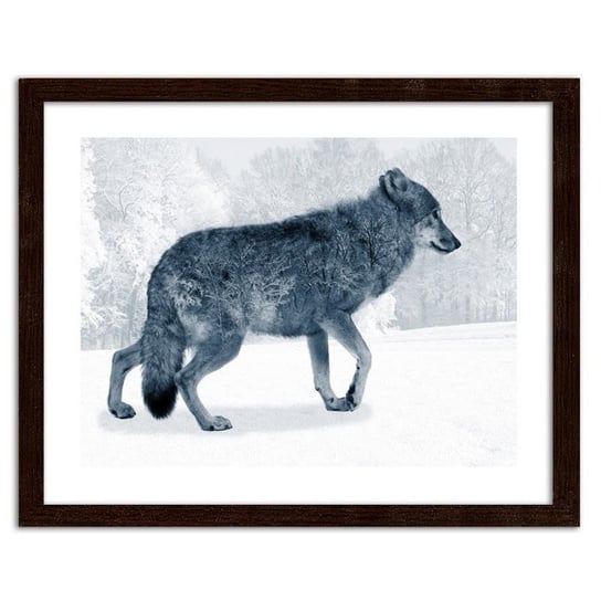 Obraz w ramie brązowej FEEBY, Szary wilk, 50x40 cm Feeby
