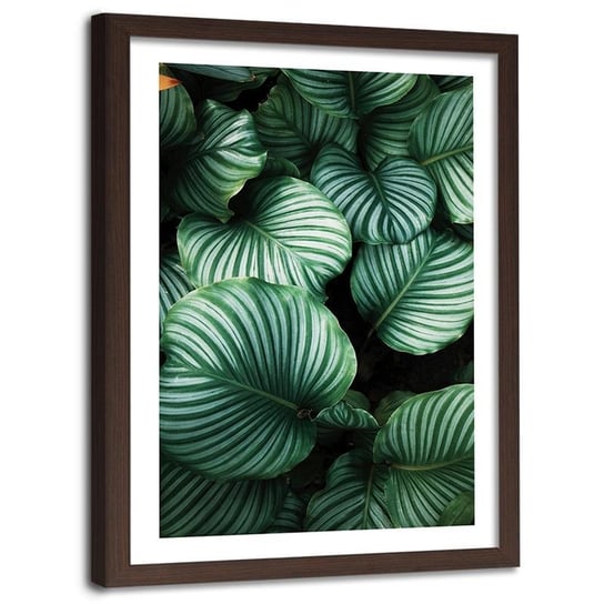 Obraz w ramie brązowej FEEBY, Tropikalne Liście Zielony 60x80 Feeby