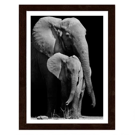 Obraz w ramie brązowej FEEBY, Wędrówka rodziny słoni, 40x50 cm Feeby
