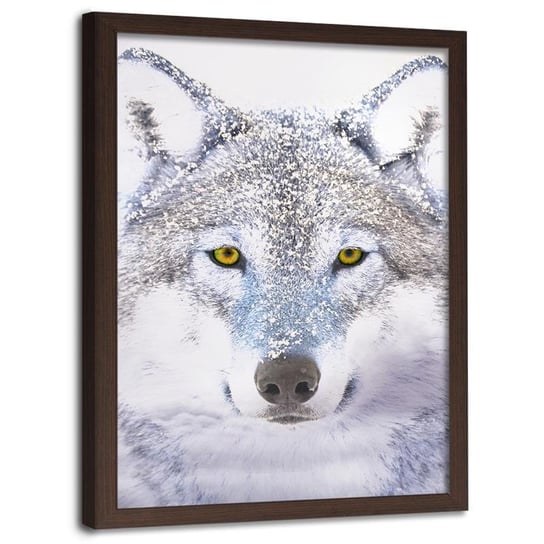 Obraz w ramie brązowej FEEBY, Wilk Szary Zwierzęta 40x60 Feeby