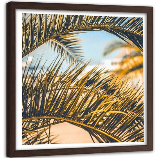 Obraz w ramie brązowej: Liście palmy, 40x40 cm Feeby