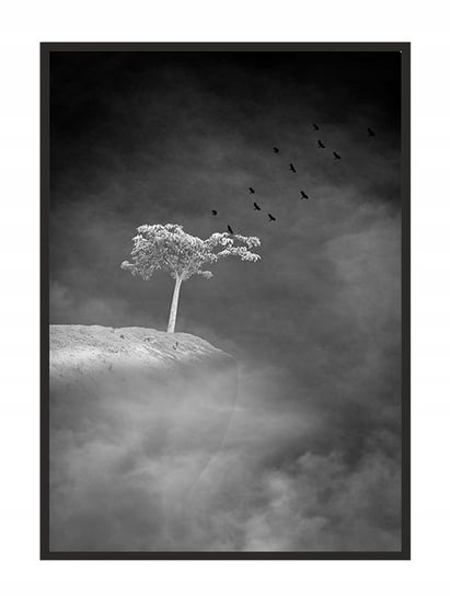 Obraz w ramie czarnej E-DRUK, Drzewo, 33x43 cm, P1462 e-druk