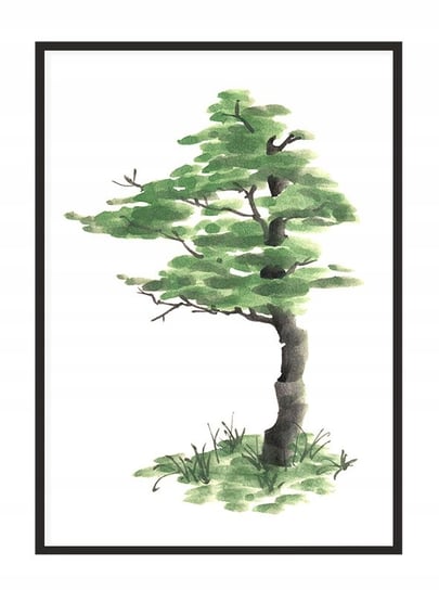 Obraz w ramie czarnej E-DRUK, Drzewo, 33x43 cm, P1612 e-druk