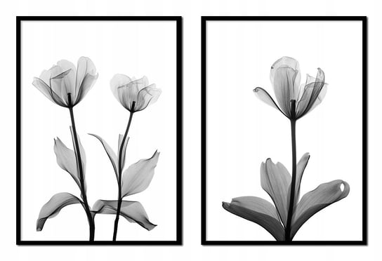 Obraz w ramie czarnej E-DRUK, Dyptyk Kwiaty, 53x73 cm, P1712 e-druk