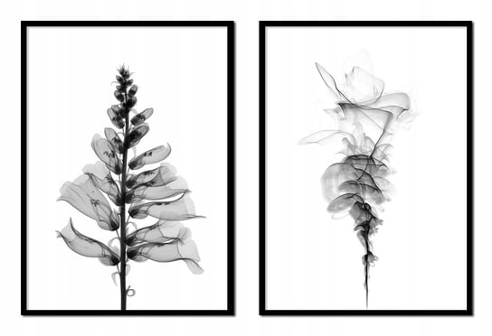Obraz w ramie czarnej E-DRUK, Dyptyk Kwiaty, 53x73 cm, P1714 e-druk