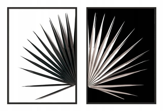 Obraz w ramie czarnej E-DRUK, Dyptyk Liść, 53x73 cm, P974 e-druk