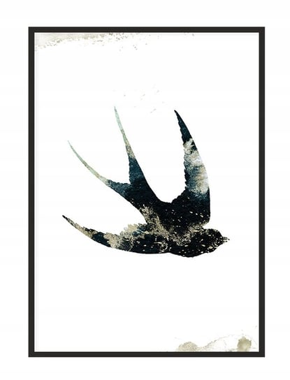 Obraz w ramie czarnej E-DRUK, Jaskółka, 53x73 cm, P1441 e-druk