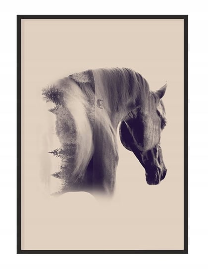 Obraz w ramie czarnej E-DRUK, Koń, 33x43 cm, P1228 e-druk