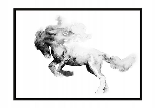 Obraz w ramie czarnej E-DRUK, Koń, 33x43 cm, P1469 e-druk