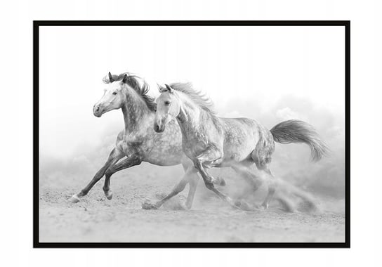 Obraz w ramie czarnej E-DRUK, Konie, 43x33 cm, P904 e-druk