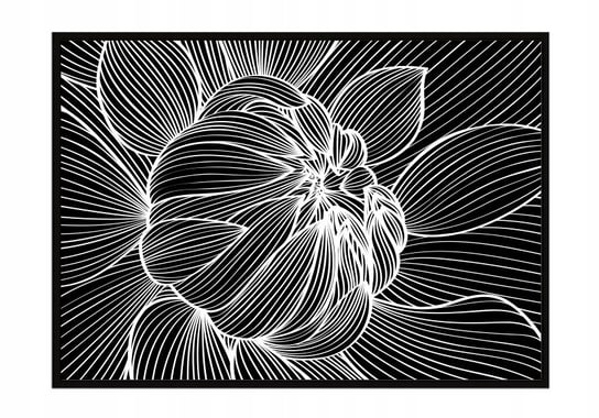Obraz w ramie czarnej E-DRUK, Kwiat, 33x43 cm, P1059 e-druk