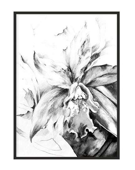 Obraz w ramie czarnej E-DRUK, Kwiat, 33x43 cm, P1099 e-druk