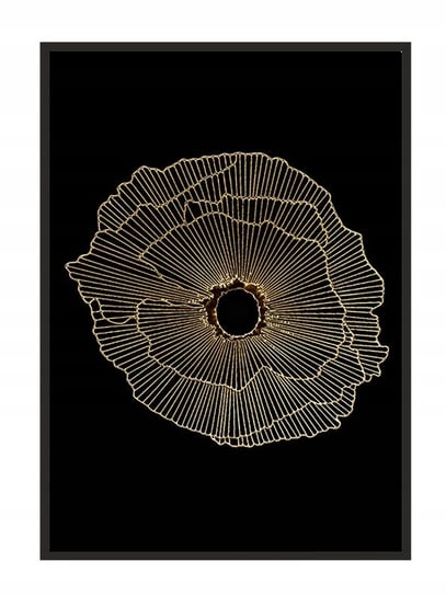 Obraz w ramie czarnej E-DRUK, Kwiat, 33x43 cm, P1583 e-druk