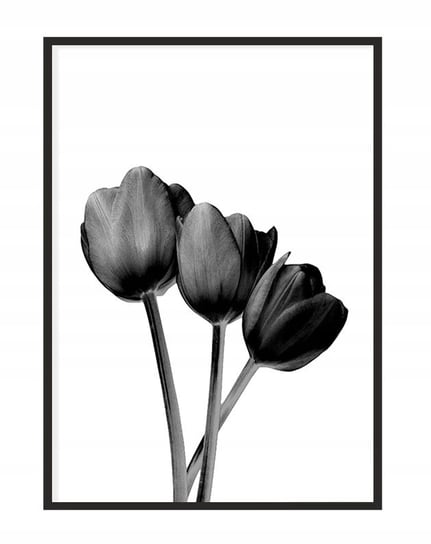 Obraz w ramie czarnej E-DRUK, Kwiaty, 33x43 cm, P1102 e-druk